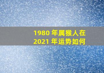 1980 年属猴人在2021 年运势如何